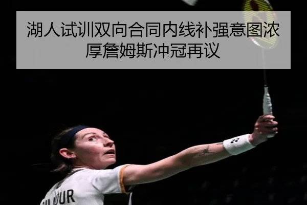 湖人试训双向合同内线补强意图浓厚詹姆斯冲冠再议
