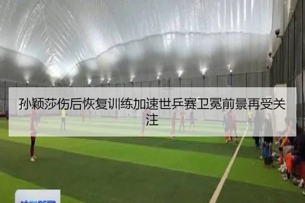 孙颖莎伤后恢复训练加速世乒赛卫冕前景再受关注