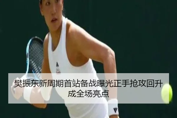 樊振东新周期首站备战曝光正手抢攻回升成全场亮点